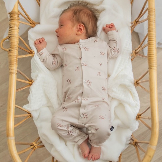 Boxpakje mini flowers 0