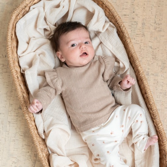 Ruffle Longsleeve - POINTELLE TAUPE